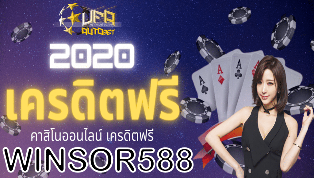 winsor588